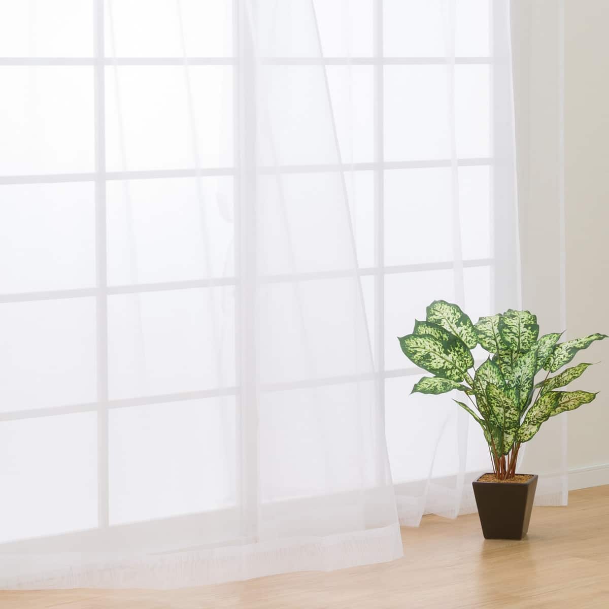 レースカーテン(オーガンザレース 100X108X2 WH) | ニトリネット【公式