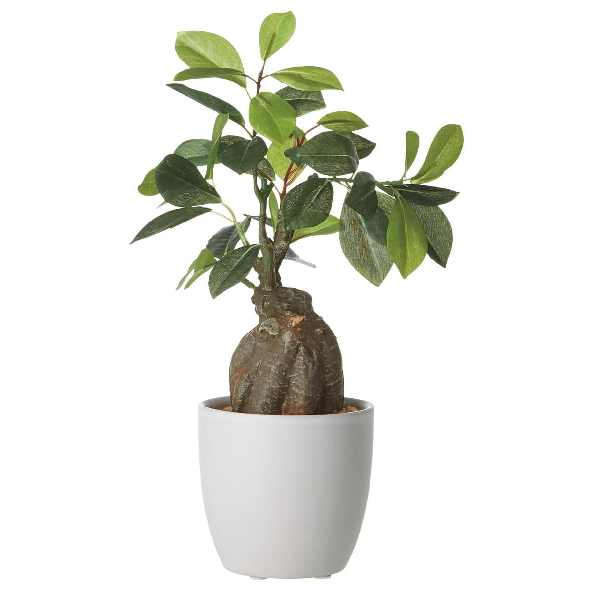 ガジュマルセラミックポット(F311) | ニトリネット【公式】 家具