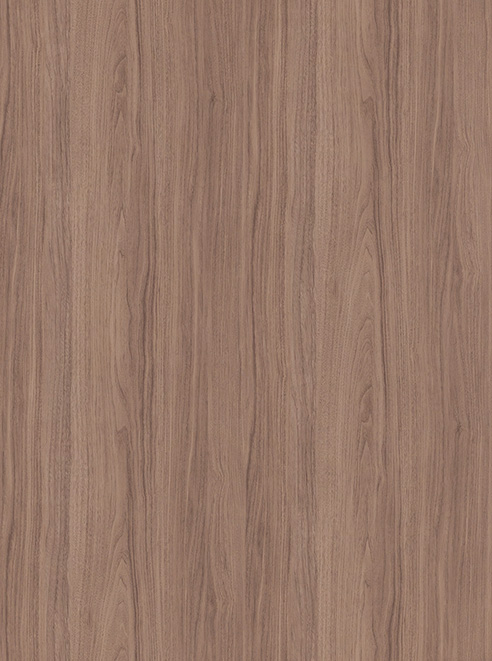 Y9238 | 株式会社ニップコーポレーション