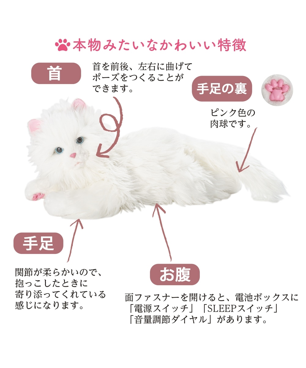 しっぽふりふりあまえんぼう子ねこちゃん 通販【ニッセン】