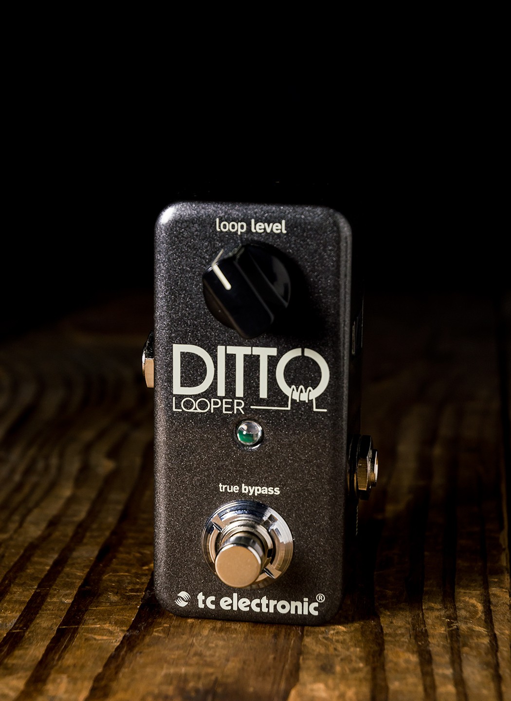 TC Electronic DITTO LOOPER / LOOP Efekt Pedalı | Sesçi Baba