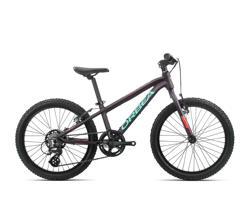 2020 Orbea MX 20 Dirt 20 Inch Kids Bike