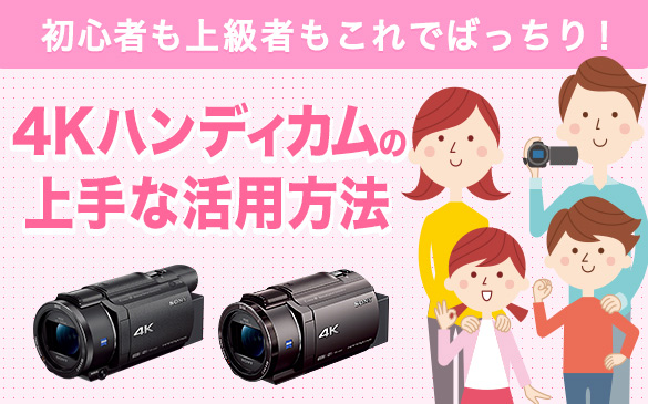 デジタルビデオカメラ ハンディカム | ソニー