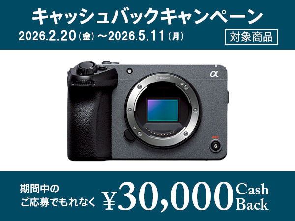 ILME-FX30 購入 | プロフェッショナルカムコーダー | ソニー