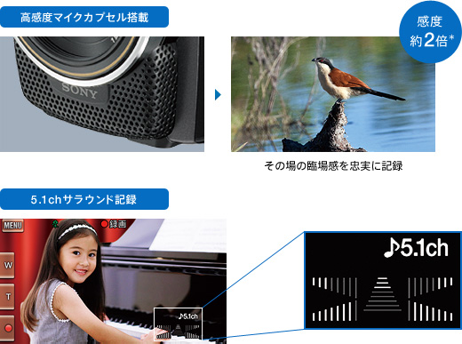 HDR-PJ20 特長 : 高音質技術 | デジタルビデオカメラ Handycam