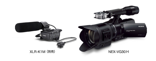 NEX-VG30H 特長 : 表現力をさらに広げる | デジタルビデオカメラ