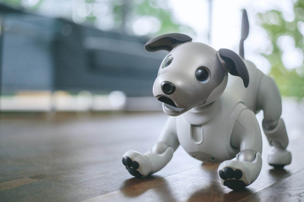 aibo / しぐさやふるまいのデザイン | 実績一覧 | ソニーPCL株式会社