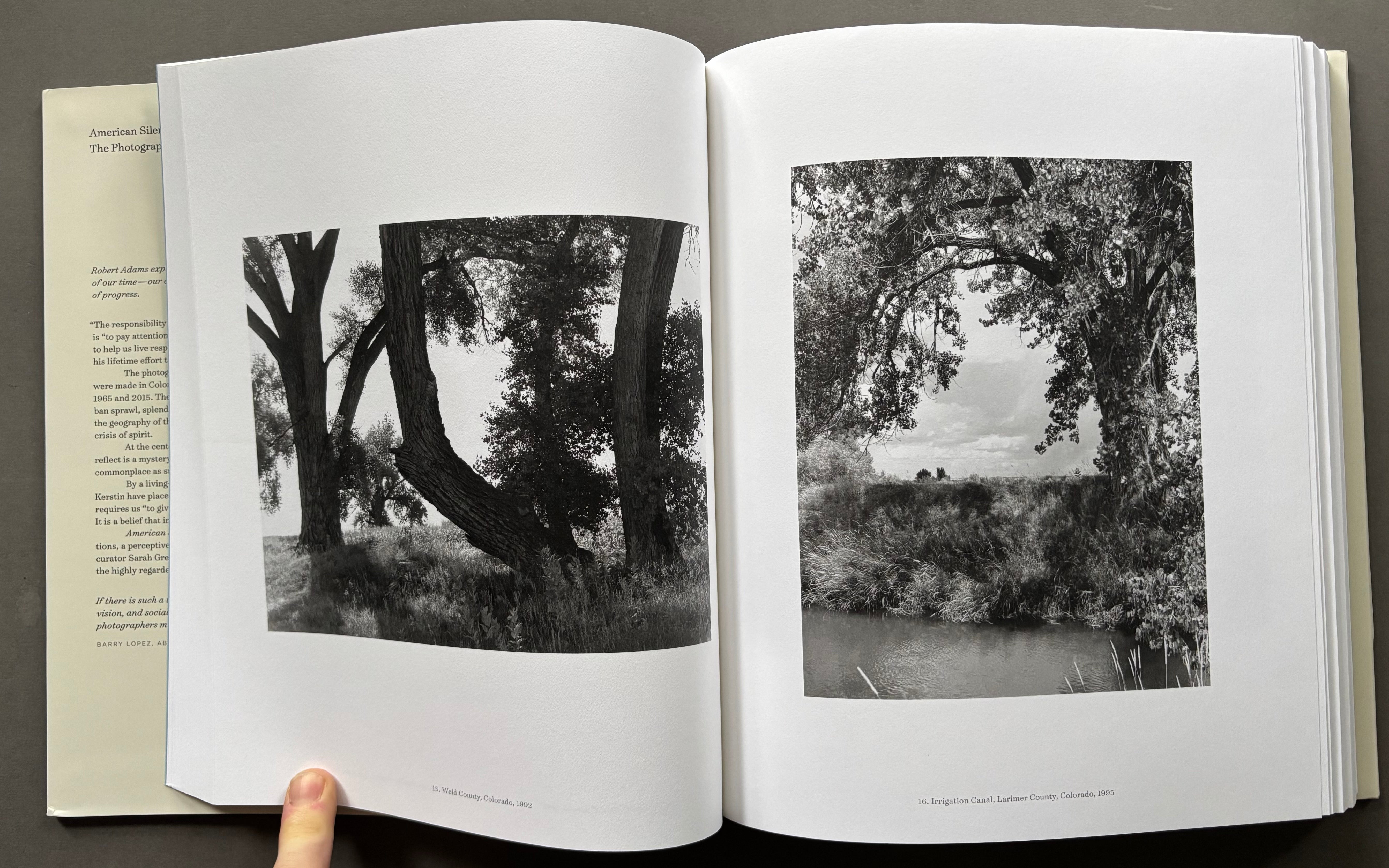 Buy American Silence: The Photographs of Robert Adams Online