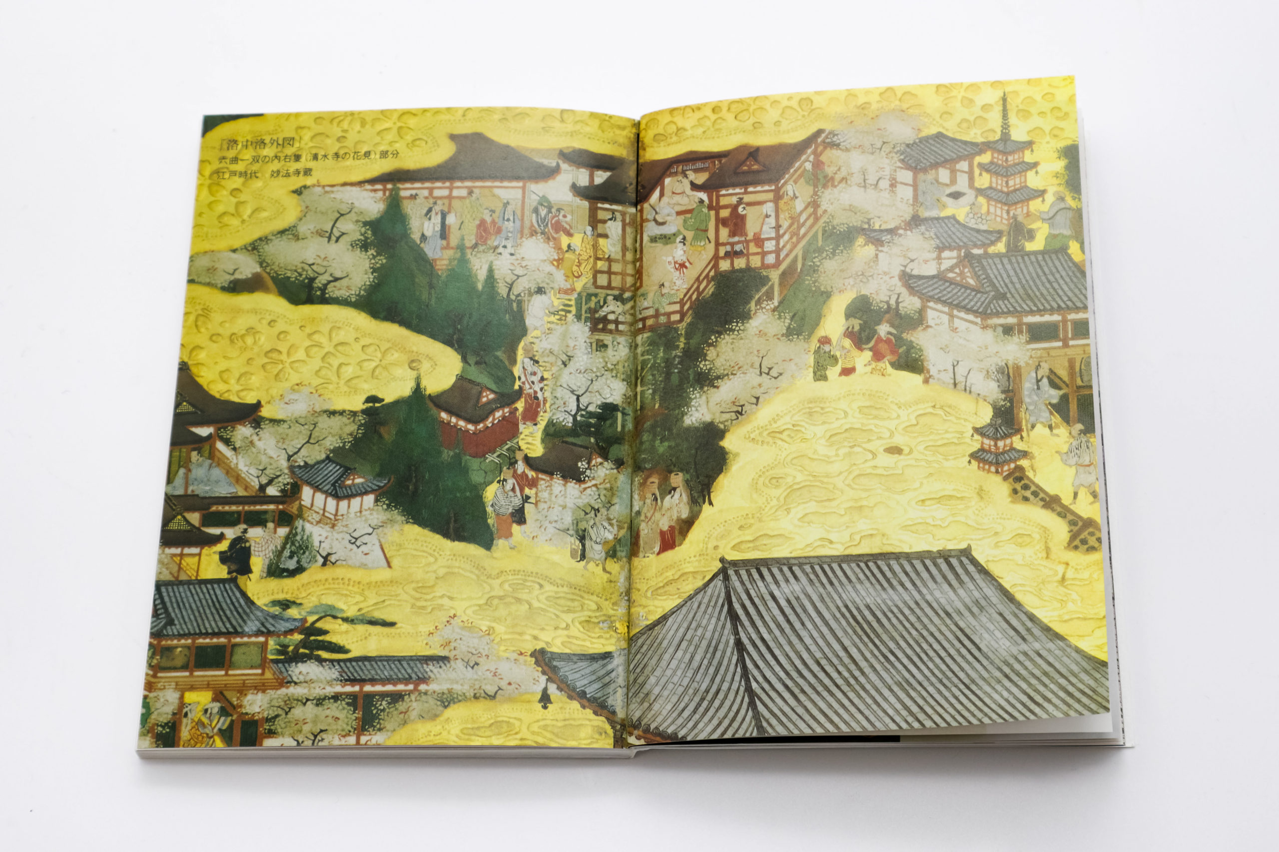 桜さくら｜青幻舎 SEIGENSHA Art Publishing, Inc.