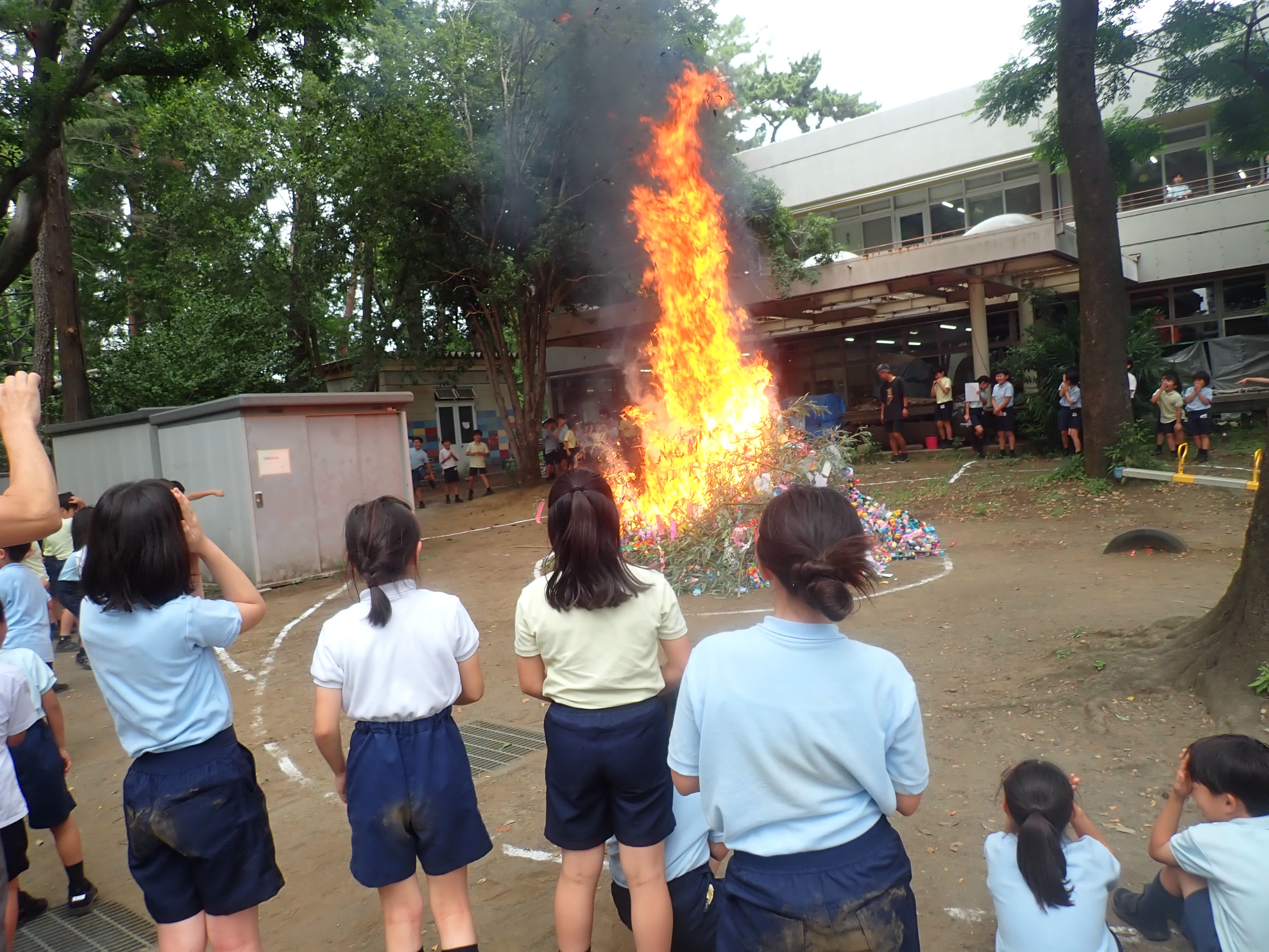できごと｜日々の様子｜成蹊小学校