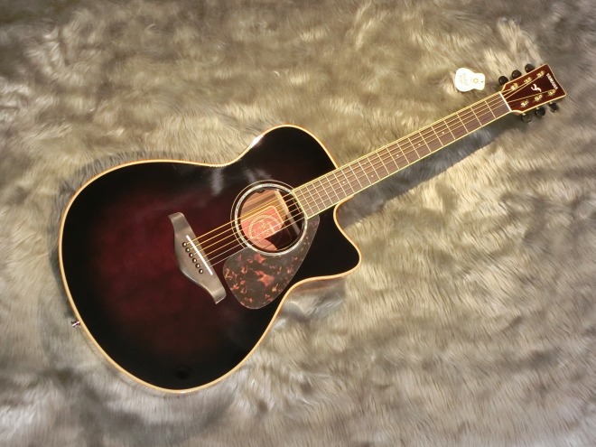 今年の夏はアコギ弾き語りでライブに出よう！エレアコのススメ｜島村