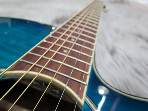 エレアコ】アイバニーズ AEGシリーズ入荷しました｜島村楽器 イオン