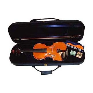 弦楽器】優雅な音色にうっとり！初めてさんにおすすめバイオリン特集