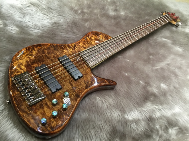 Carparelli Guitarsが町田に初上陸！｜島村楽器 ミーナ町田店