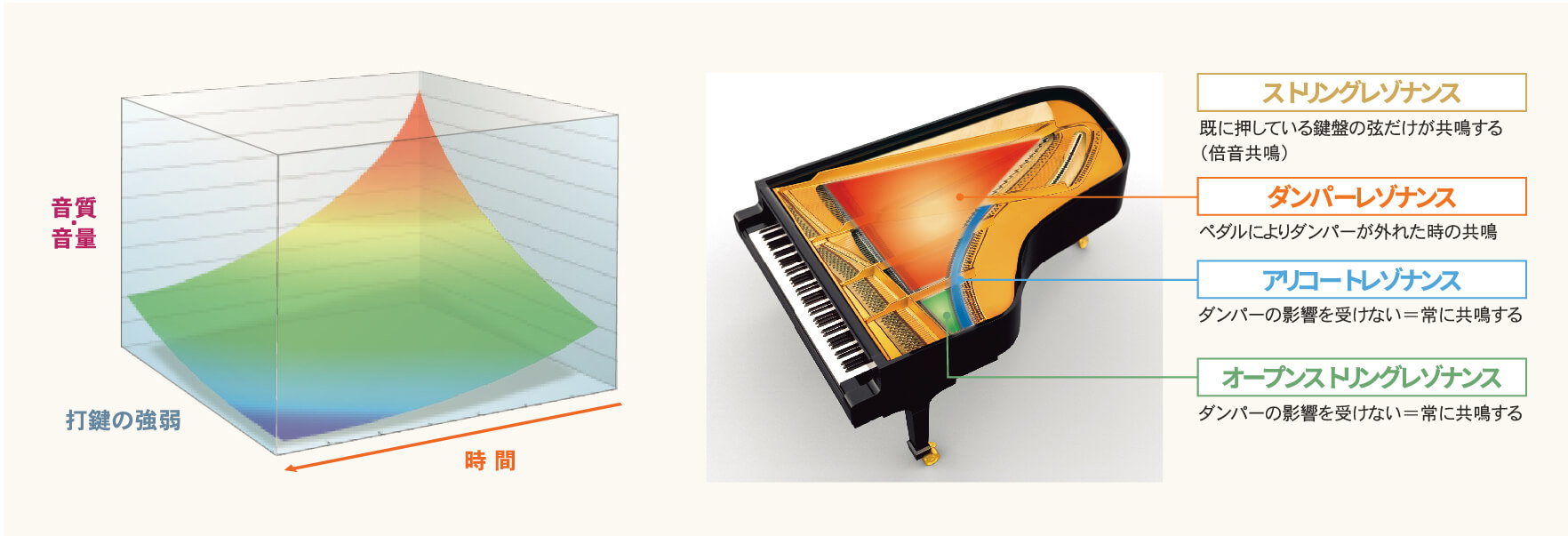 CASIO×C.ベヒシュタイン コラボレーション電子ピアノに島村楽器限定