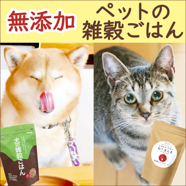 サンスクリーンエマルジョン（SPF23・PA++)（60g）【ジュポン化粧品】