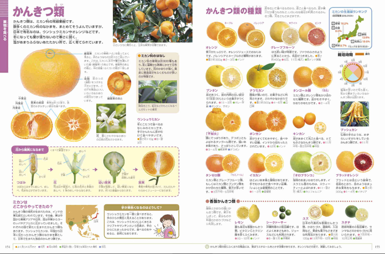 野菜と果物 | 小学館の図鑑NEOシリーズ | 小学館