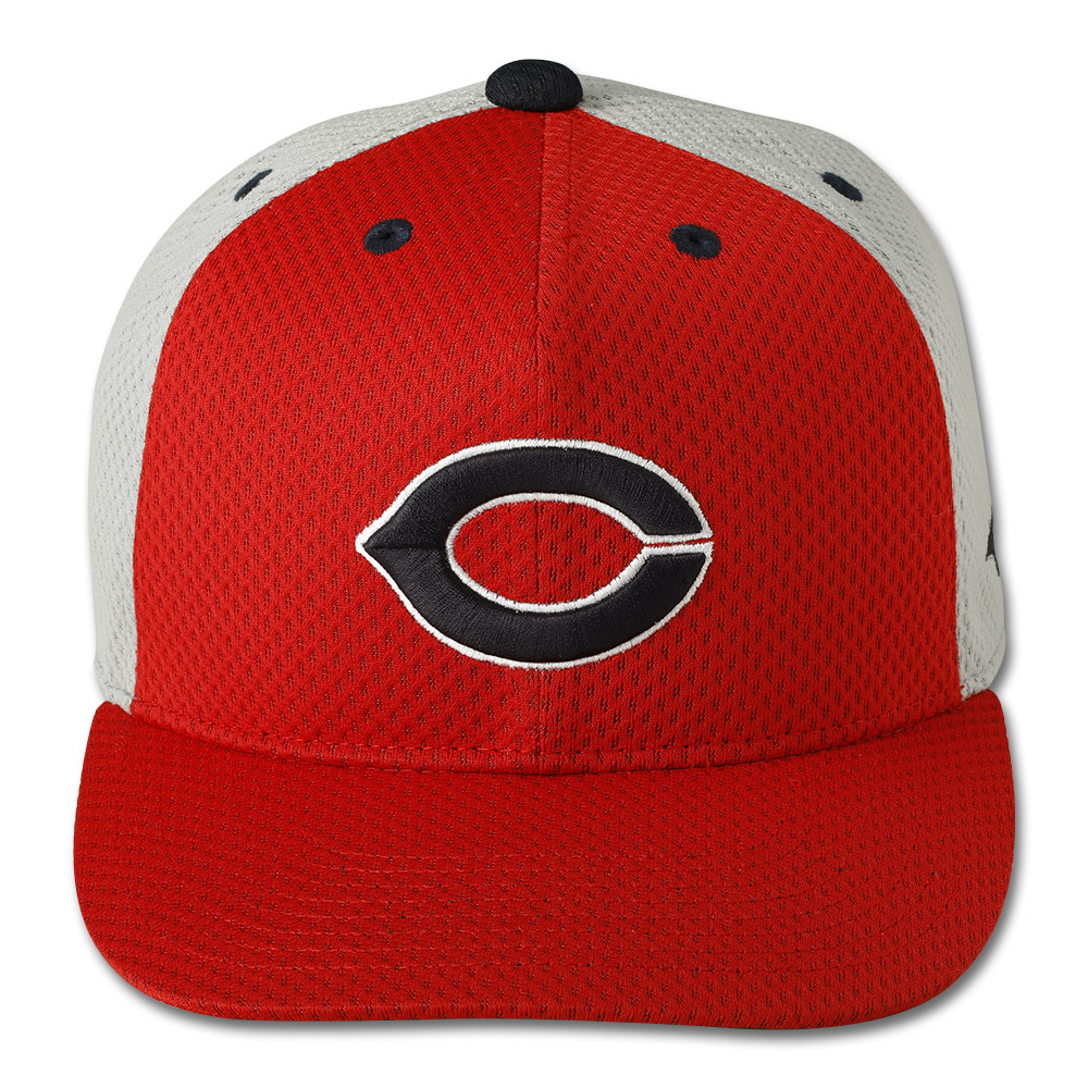 広島カープ プロ仕様ヘルメット Lサイズ 左打者用 プロ仕様ヘルメット