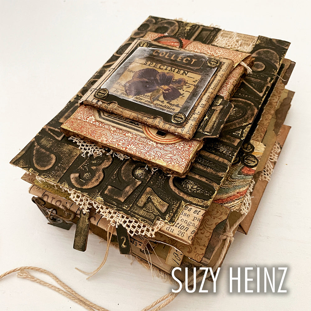 Sizzix Thinlits Die Set 54PK - Specimen by Tim Holtz – Sizzix.com