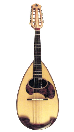 カラーチェ マンドリン(Calace)：マンドリン：カラーチェ｜クラシック