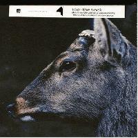 toe - The Book About My Idle Plot on a Vague Anxiety (album review