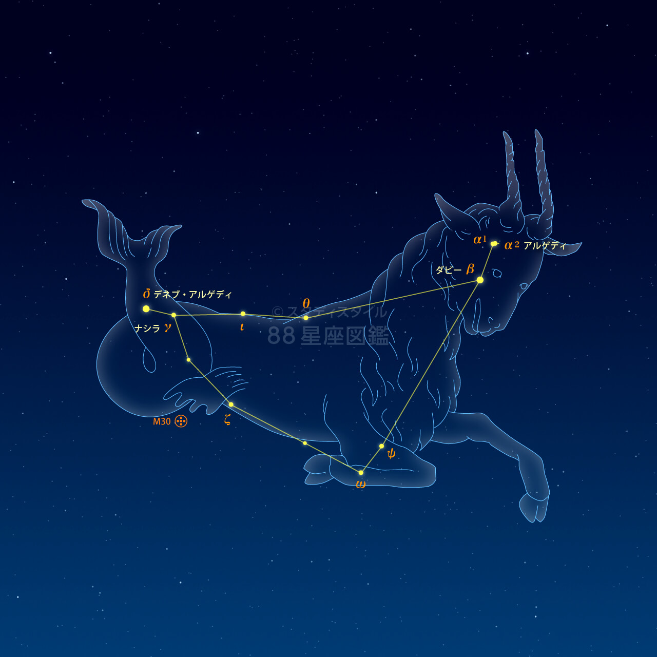 やぎ座（山羊座）｜やさしい88星座図鑑
