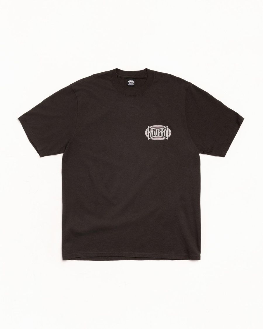Stussy Champion Oval Pigment Dyed Tシャツ 黒 | IOE03981