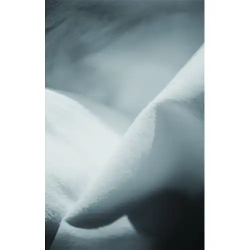 カネコアヤノ / よすが ひとりでに [CAS - NNFT-1002]：JAPANESE