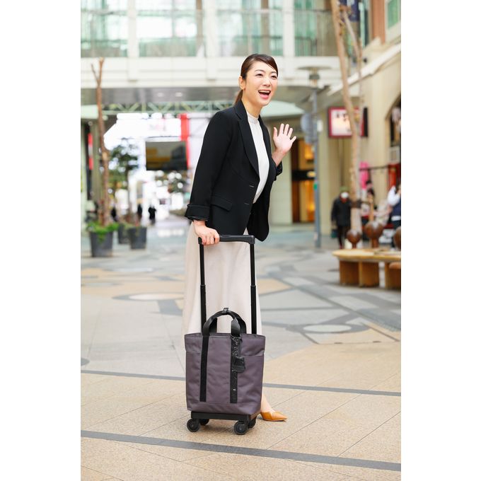 D-571 ルーミィ (M18) ピンクベージュ <T2キャスター・4輪ストッパー付