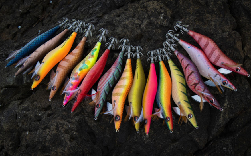 釣具のポイント【公式】オンラインストア｜数量限定・先行予約販売