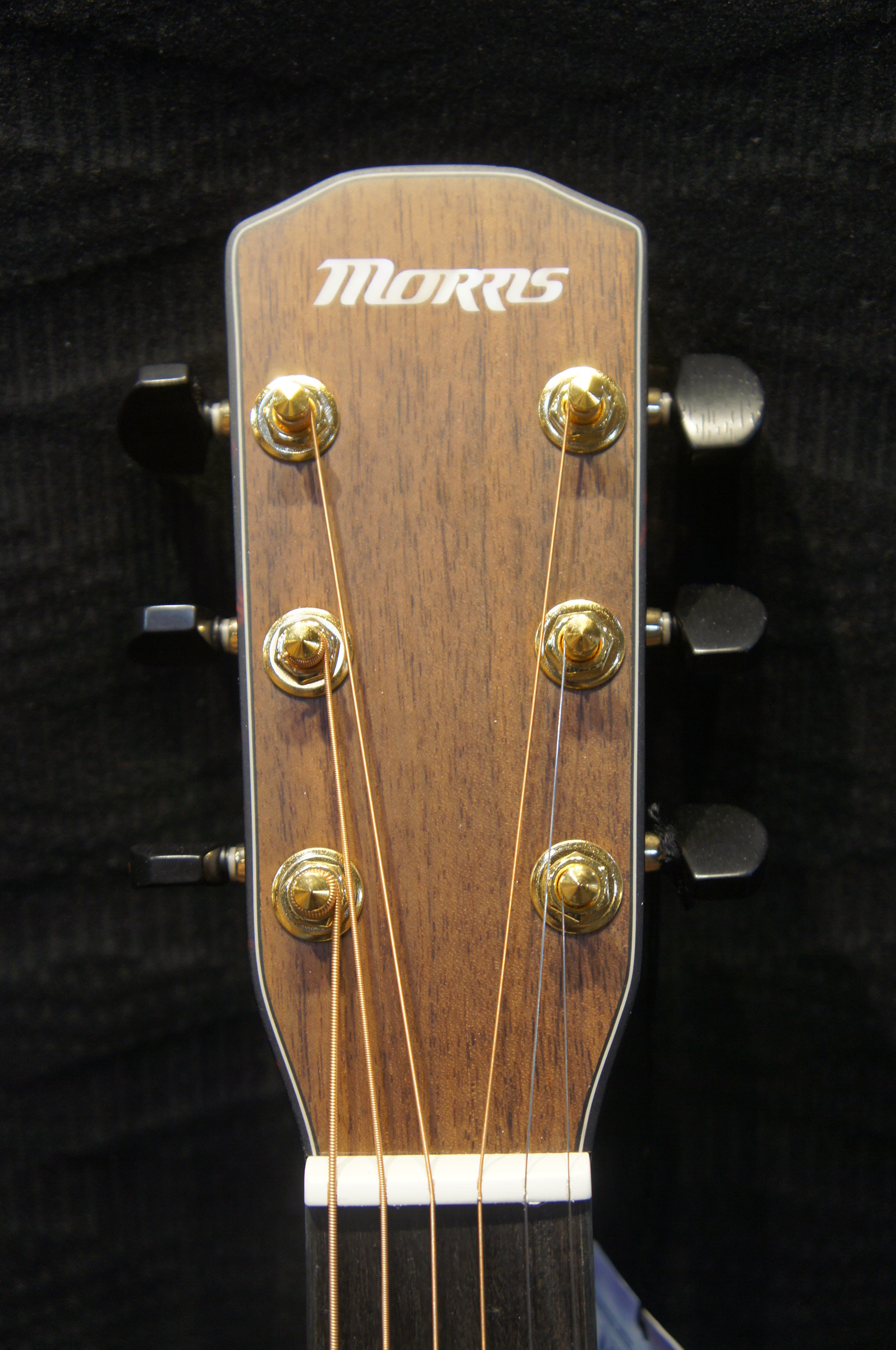 Morris S-031SP/NAT 商品詳細｜楽器の店ポンポロプー｜初心者から上級