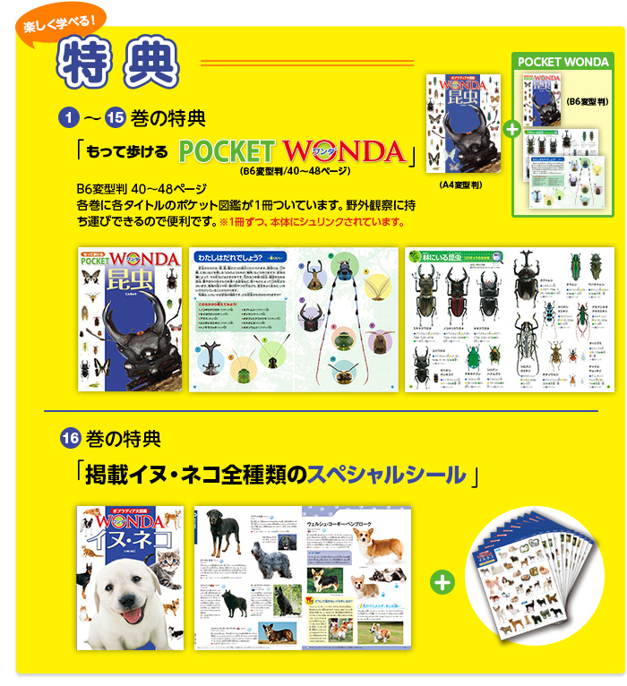 ワンダ WONDA | ポプラディア大図鑑