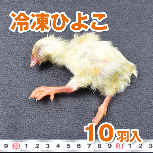 冷凍ひよこ 10羽入り / PETMAP
