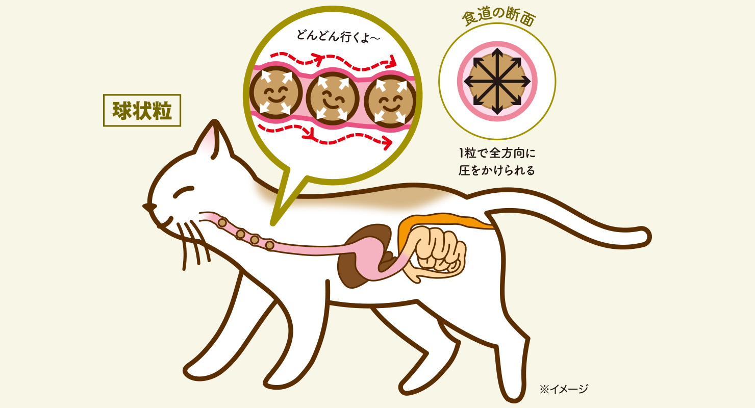 猫用ストマックケア（可溶性繊維）｜Dr.'s（ドクターズ）| ペットライン