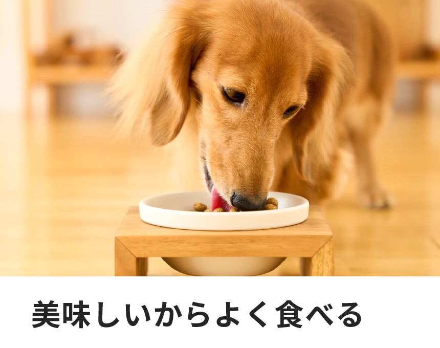 犬用アミノプロテクトケアえんどう豆｜Dr.'s（ドクターズ）| ペットライン