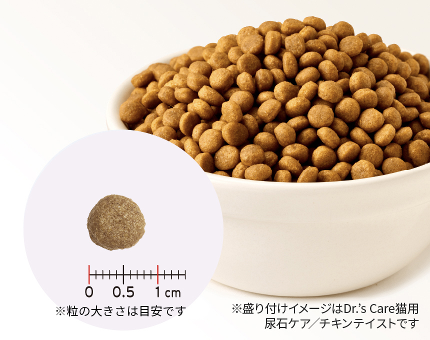 ハイシニア｜Dr.'s（ドクターズ）| ペットライン