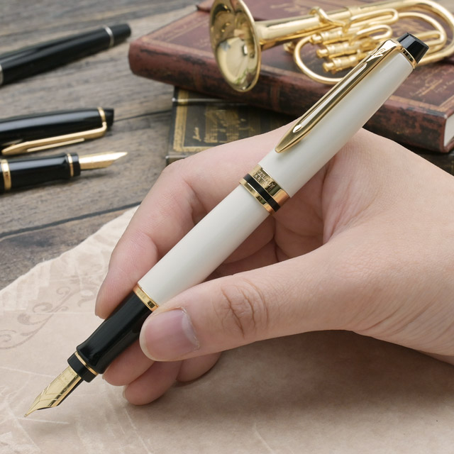 WATERMAN ウォーターマン 万年筆 エキスパート エッセンシャル 18金