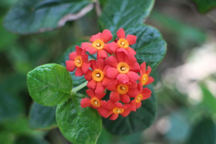 おすすめ情報 （令和7年8月29日）／京都府ホームページ