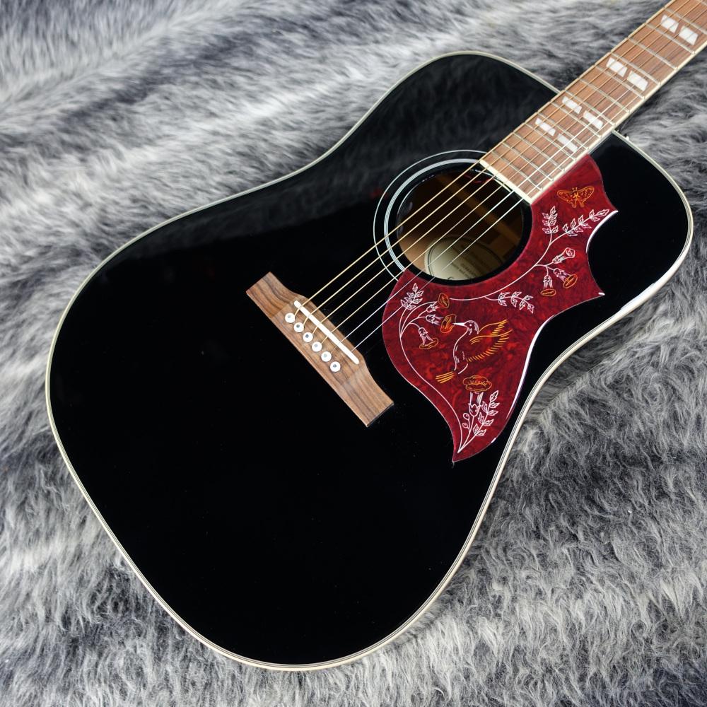 Epiphone ハミングバードPRO 更新】【Epiphone】Gibson直系の大人気エレアコ「Hummingbird PRO」の