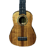 PTU608N Natural 2006 PTU608N クラシック・ギター/フラメンコ・ギター