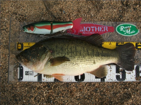 PRODUCTS - RomanMade【ロマンメイド】