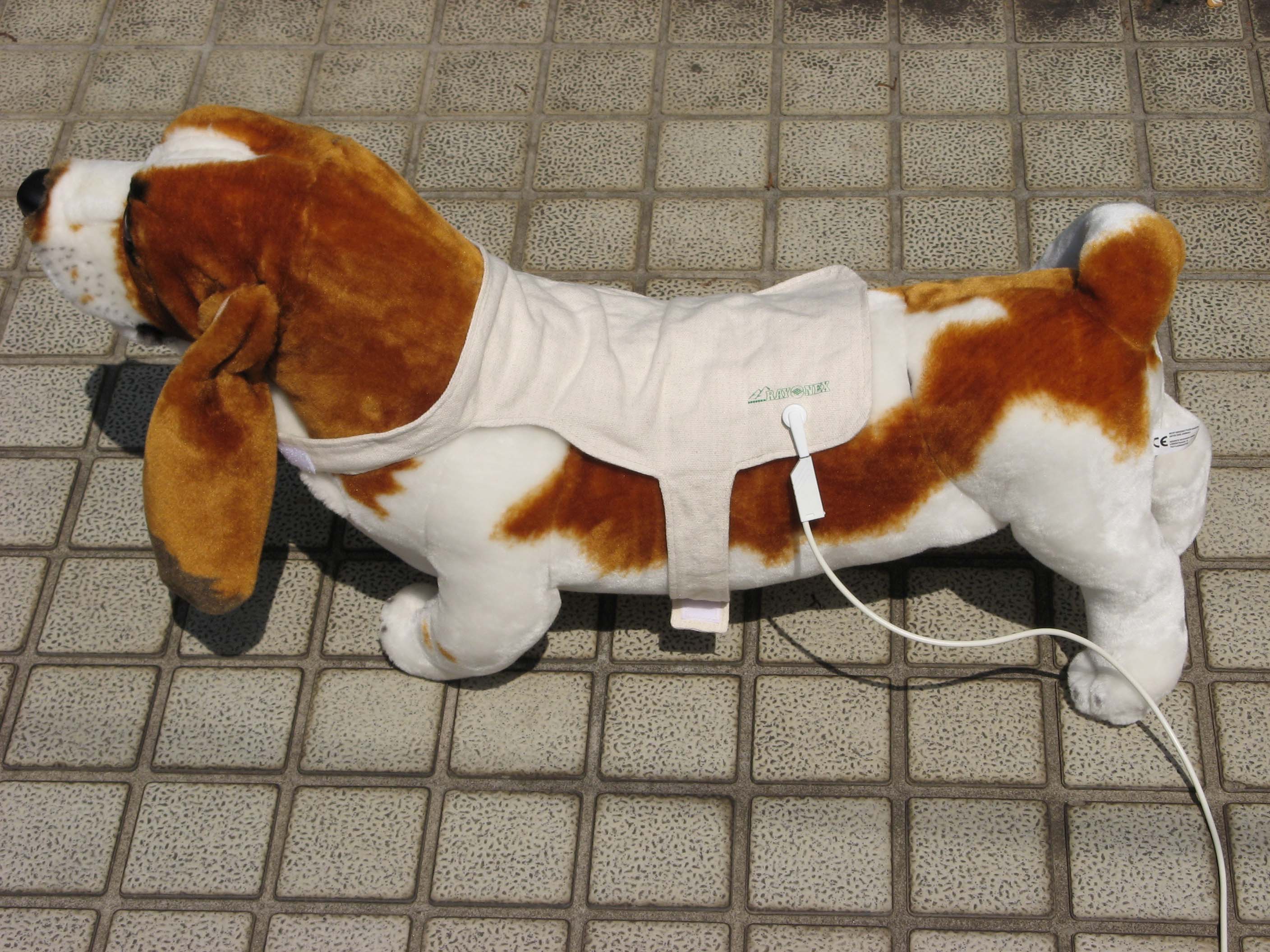 ミニレヨネックス5G 商品詳細｜ベレンクラフト株式会社｜レヨネックス