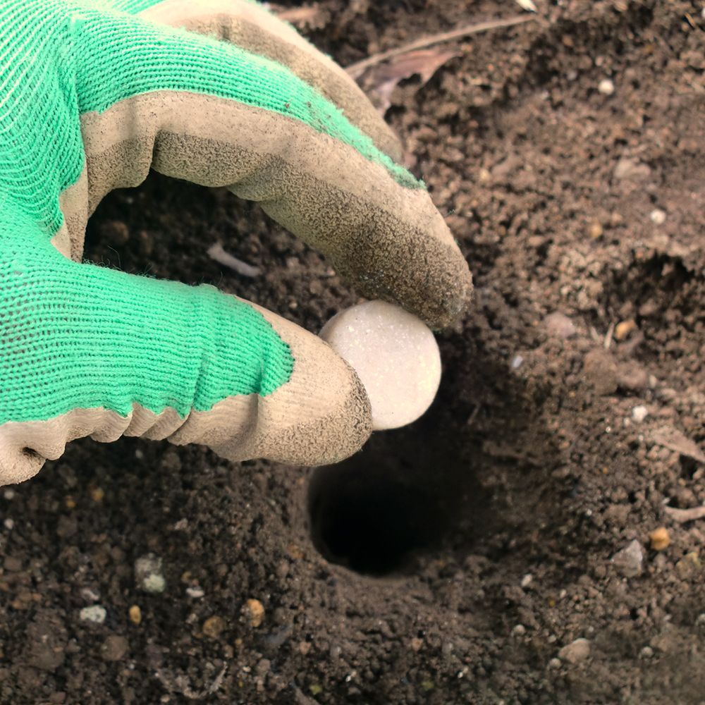 モグレス | 商品 | レインボー薬品株式会社