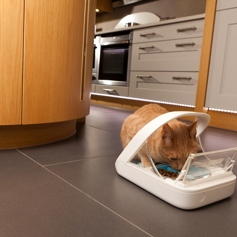 SureFeed｜マイクロチップを活用して指定された猫にのみ給餌可能な