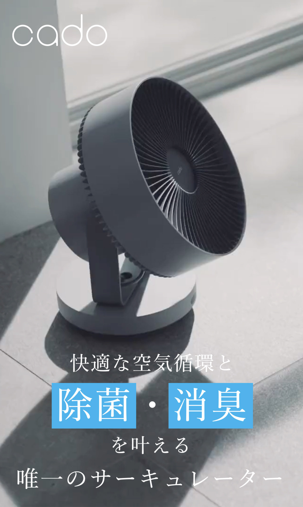 楽天市場】【公式限定2年保証】cado カドー サーキュレーター 扇風機