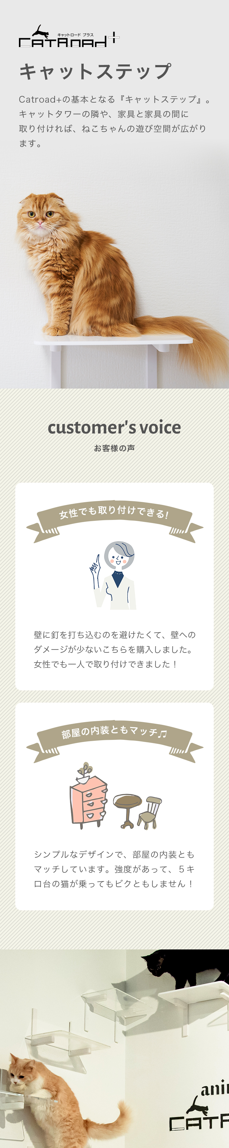 楽天市場】【animacolle キャットステップ 白】 公式 送料無料