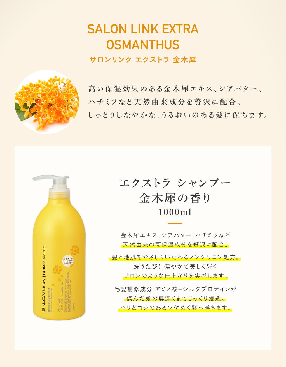 楽天市場】【10％OFF☆SALE】【公式】 サロンリンク エクストラ