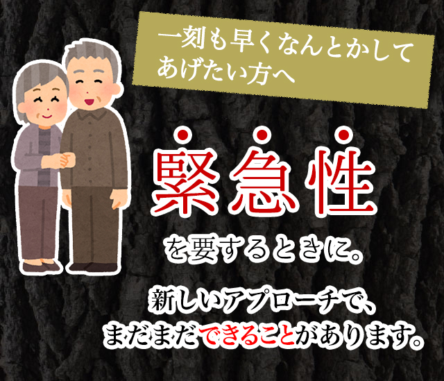 樹木ノチカラ　自然の森製薬　和漢 楽天市場】 ペット > サプリその他 > 樹木ノチカラ : 自然の森製薬
