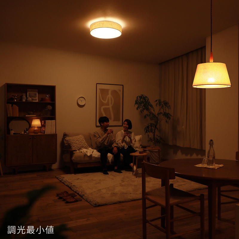 天井照明 TEXAS LED CEILING LIGHT ｜家具・インテリア通販 Re:CENO