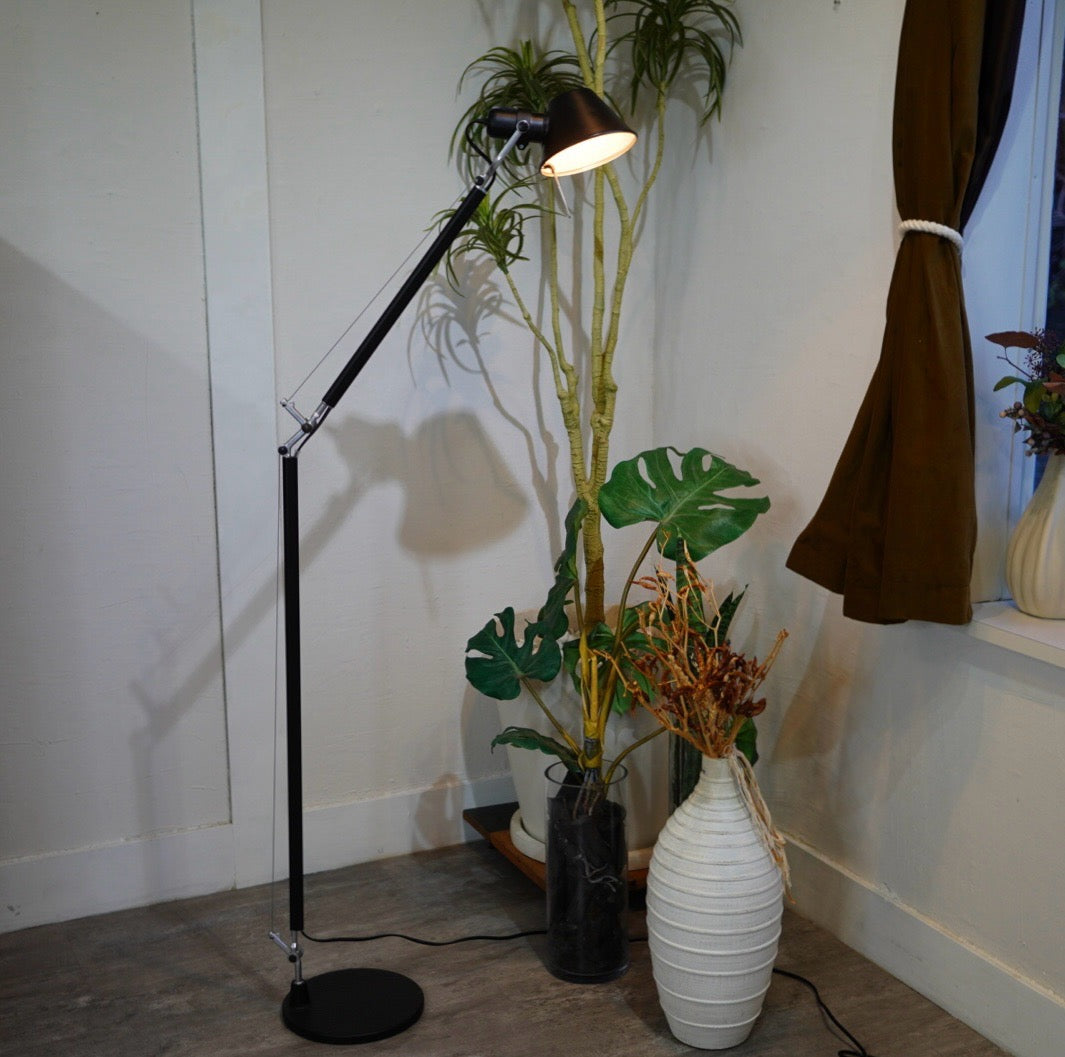 アルテミデ / Artemide トロメオ / TOLOMEO リーディング フロアライト